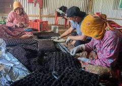 Chhahari Mahila (6)