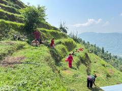 Dhading EG (1)
