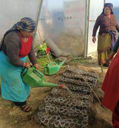 Chhahari Mahila (11)
