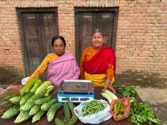 Chhahari women selling vegetables 4